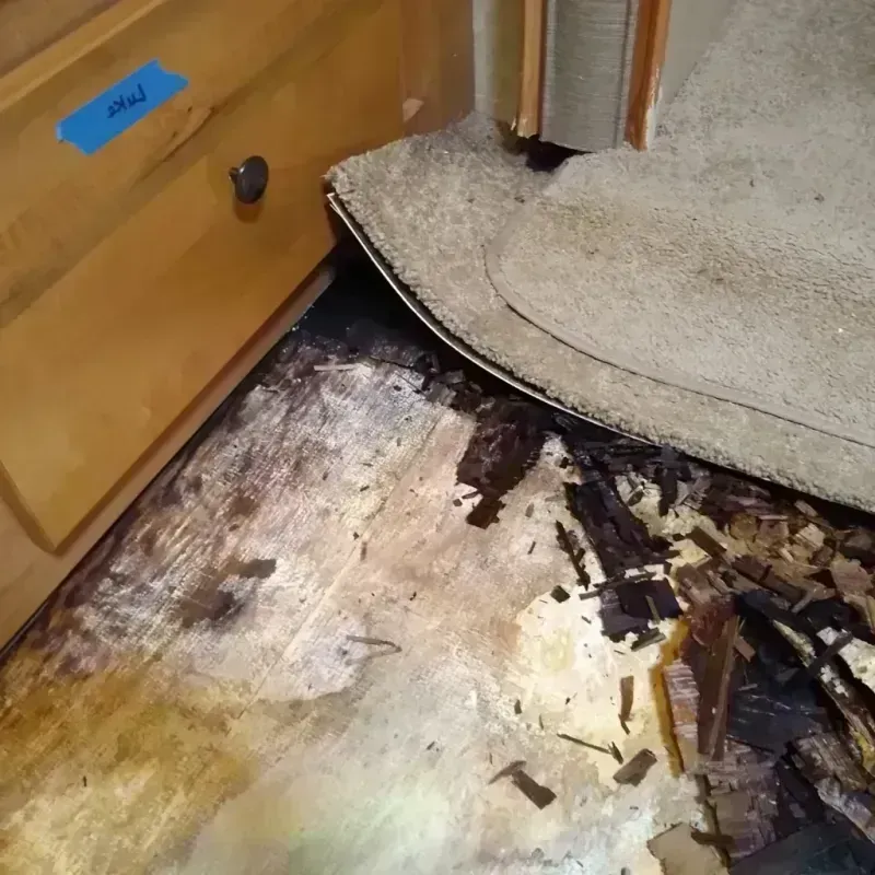 Wood Floor Water Damage in Grant County, WI